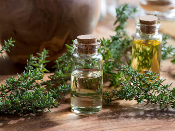 Essential oil of thyme
