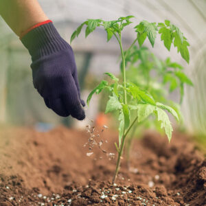 Garden Plants Specialized Fertilizers